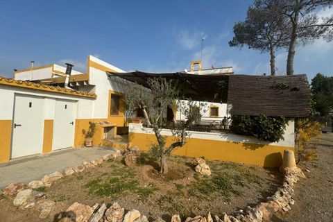 Villa i Riba-Roja De Turia, Valencia, Riba-Roja De Turia - € 590.000 | Ref: V337/6084 - foto 32