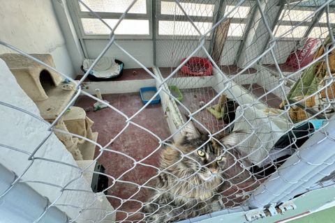 Finca i Mijas, Malaga, Mijas - € 1.395.000 | Ref: R4784014 - foto 27