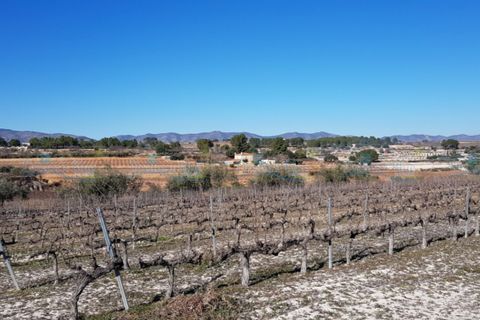 Helårsgrund i Agullent, Valencia, Agullent - € 65.000 | Ref: Sunny Valley New - foto 8