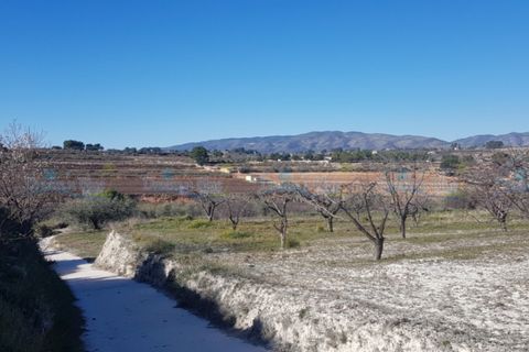Helårsgrund i Agullent, Valencia, Agullent - € 65.000 | Ref: Sunny Valley New - foto 9