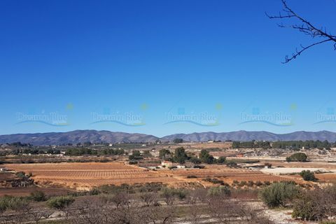 Helårsgrund i Agullent, Valencia, Agullent - € 65.000 | Ref: Sunny Valley New - foto 10