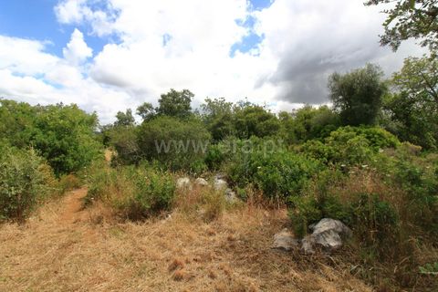 Helårsgrund i Faro, Faro, Faro - € 435.000 | Ref: 014210051 - foto 8