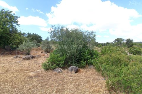 Helårsgrund i Faro, Faro, Faro - € 435.000 | Ref: 014210051 - foto 11
