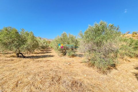 Landejendom i Lubrin, Almeria, Lubrin - € 349.950 | Ref: 2653 - foto 33