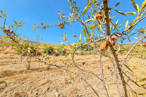 Landejendom i Lubrin, Almeria, Lubrin - € 349.950 | Ref: 2653 - foto 35