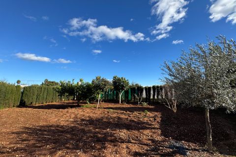 Finca i Ondara, Alicante, Ondara - € 190.000 | Ref: F0209 - foto 31