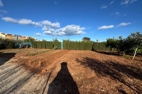 Finca i Ondara, Alicante, Ondara - € 190.000 | Ref: F0209 - foto 32