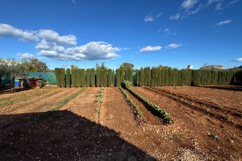Finca i Ondara, Alicante, Ondara - € 190.000 | Ref: F0209 - foto 33