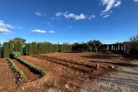 Finca i Ondara, Alicante, Ondara - € 190.000 | Ref: F0209 - foto 34