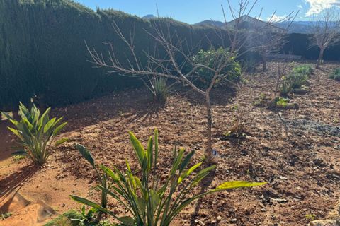 Finca i Ondara, Alicante, Ondara - € 190.000 | Ref: F0209 - foto 41