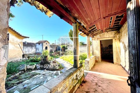 Villa i Aveiro, Aveiro, Aveiro - € 390.000 | Ref: 127/2025 RS - foto 4