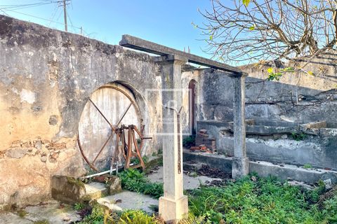 Villa i Aveiro, Aveiro, Aveiro - € 390.000 | Ref: 127/2025 RS - foto 5