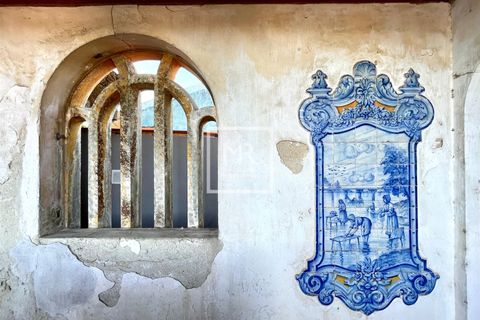Villa i Aveiro, Aveiro, Aveiro - € 390.000 | Ref: 127/2025 RS - foto 14