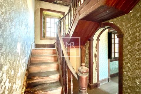 Villa i Aveiro, Aveiro, Aveiro - € 390.000 | Ref: 127/2025 RS - foto 19