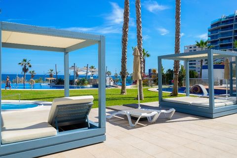 Penthouse in Punta Prima, Alicante, Punta Prima - € 599.000 | Ref: 13256 - Foto 5