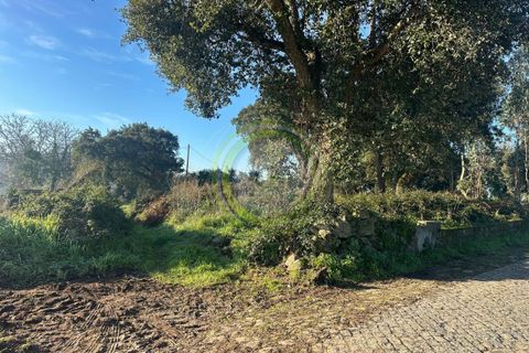 Helårsgrund i Esposende, Braga, Esposende - € 70.000 | Ref: GS1/090121 - foto 1
