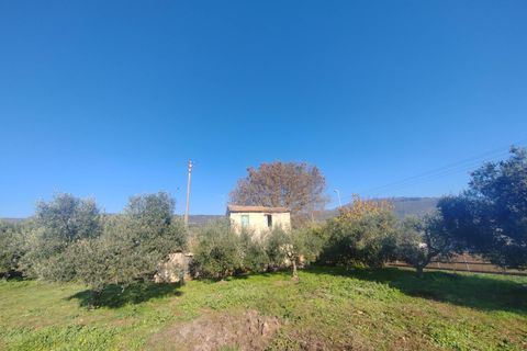 Landejendom i Priverno, Latina, Priverno - € 67.000 | Ref: 2148 - foto 2