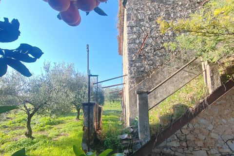 Landejendom i Priverno, Latina, Priverno - € 67.000 | Ref: 2148 - foto 3