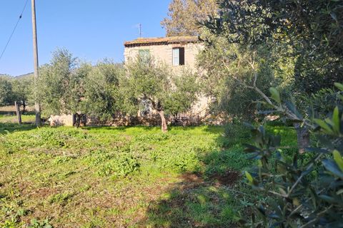 Landejendom i Priverno, Latina, Priverno - € 67.000 | Ref: 2148 - foto 5