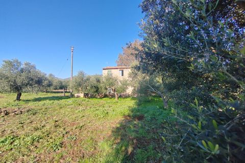 Landejendom i Priverno, Latina, Priverno - € 67.000 | Ref: 2148 - foto 6
