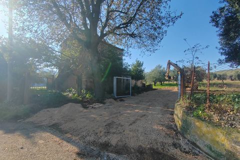 Landejendom i Priverno, Latina, Priverno - € 67.000 | Ref: 2148 - foto 8