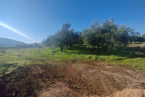 Landejendom i Priverno, Latina, Priverno - € 67.000 | Ref: 2148 - foto 9