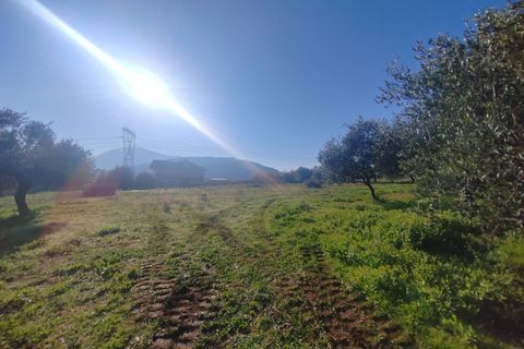 Landejendom i Priverno, Latina, Priverno - € 67.000 | Ref: 2148 - foto 10