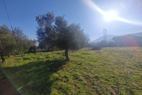 Landejendom i Priverno, Latina, Priverno - € 67.000 | Ref: 2148 - foto 12