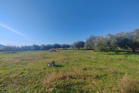 Landejendom i Priverno, Latina, Priverno - € 67.000 | Ref: 2148 - foto 16