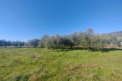 Landejendom i Priverno, Latina, Priverno - € 67.000 | Ref: 2148 - foto 17