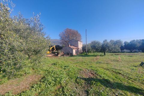 Landejendom i Priverno, Latina, Priverno - € 67.000 | Ref: 2148 - foto 18