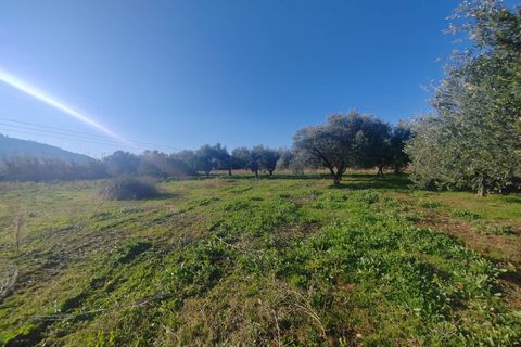 Landejendom i Priverno, Latina, Priverno - € 67.000 | Ref: 2148 - foto 19