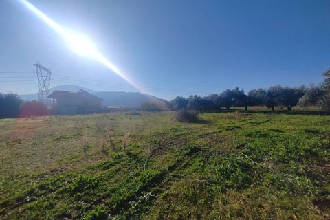 Landejendom i Priverno, Latina, Priverno - € 67.000 | Ref: 2148 - foto 20