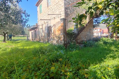 Landejendom i Priverno, Latina, Priverno - € 67.000 | Ref: 2148 - foto 21