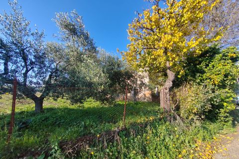 Landejendom i Priverno, Latina, Priverno - € 67.000 | Ref: 2148 - foto 25