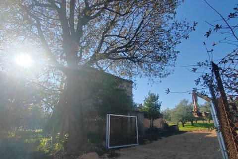 Landejendom i Priverno, Latina, Priverno - € 67.000 | Ref: 2148 - foto 26