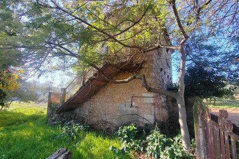 Landejendom i Priverno, Latina, Priverno - € 67.000 | Ref: 2148 - foto 29