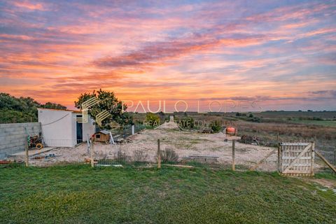 Villa i Manique do Intendente, Lisbon, Manique do Intendente - € 450.000 | Ref: PL1048 - foto 28