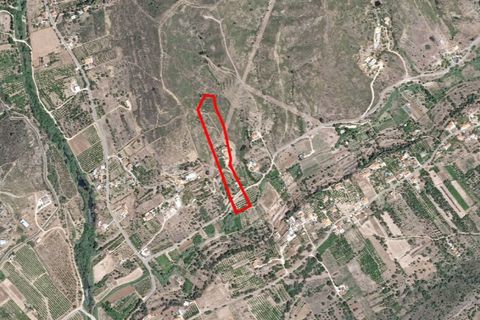 Farm i Silves, Faro, Silves - € 711.000 | Ref: AGM-MCD007 - foto 45