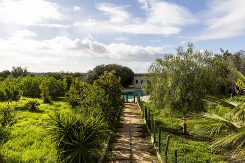 Landejendom i Silves, Faro, Silves - € 1.080.000 | Ref: RC004 - foto 6