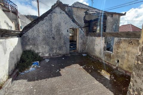 Villa i Ponta do Sol, Madeira, Ponta do Sol - € 130.000 | Ref: IC_1287 - foto 10