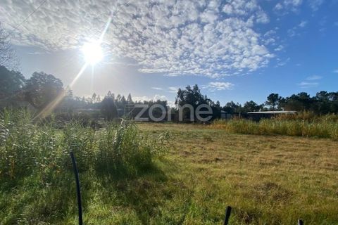 Helårsgrund i Vagos, Aveiro, Vagos - € 35.000 | Ref: ZMPT583904 - foto 7