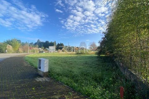 Helårsgrund i Vagos, Aveiro, Vagos - € 35.000 | Ref: ZMPT583904 - foto 9
