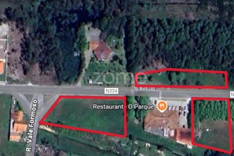 Helårsgrund i Vagos, Aveiro, Vagos - € 35.000 | Ref: ZMPT583904 - foto 14