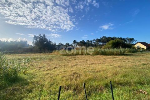 Helårsgrund i Vagos, Aveiro, Vagos - € 32.000 | Ref: ZMPT583907 - foto 1
