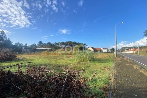 Helårsgrund i Vagos, Aveiro, Vagos - € 32.000 | Ref: ZMPT583907 - foto 8