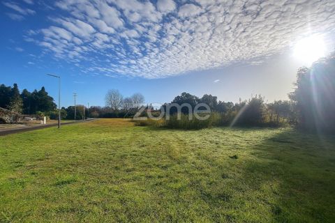 Helårsgrund i Vagos, Aveiro, Vagos - € 32.000 | Ref: ZMPT583907 - foto 13