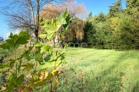 Helårsgrund i Vagos, Aveiro, Vagos - € 32.000 | Ref: ZMPT583907 - foto 15