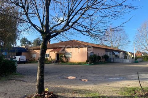 Helårsgrund i Vagos, Aveiro, Vagos - € 31.500 | Ref: ZMPT583915 - foto 7