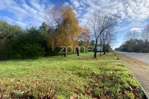 Helårsgrund i Vagos, Aveiro, Vagos - € 31.500 | Ref: ZMPT583915 - foto 14